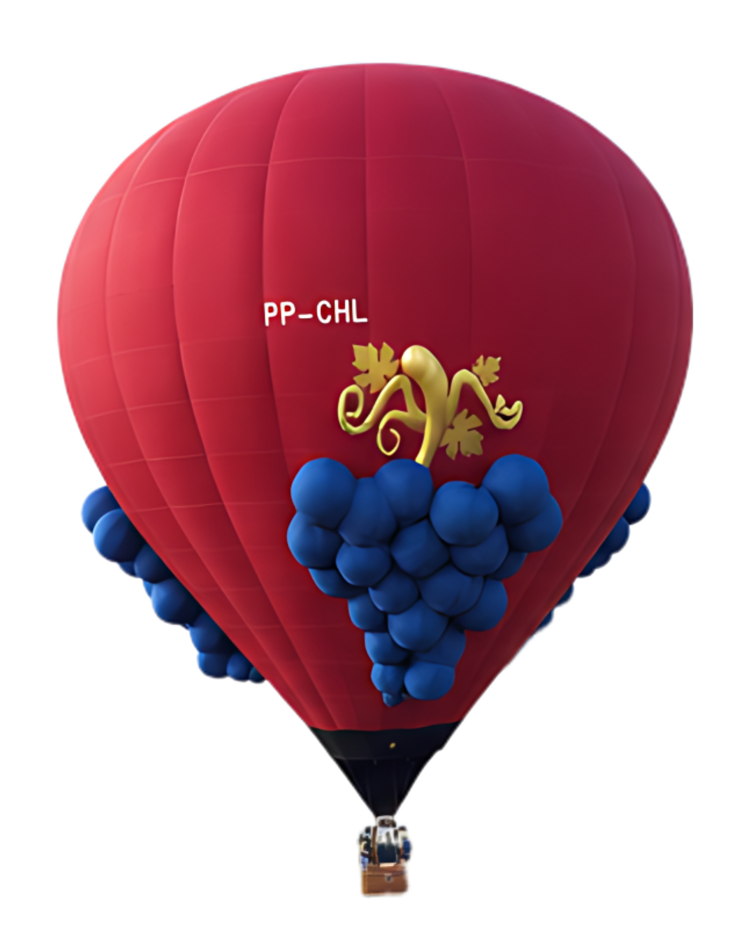 Brochure wine concha y toro